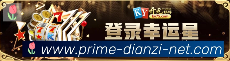 奖项证书